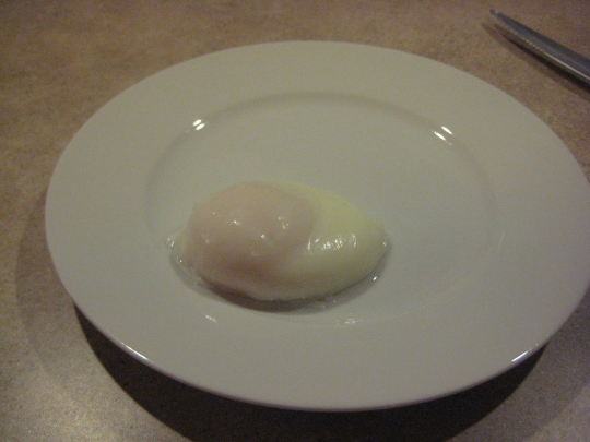 Poached Egg