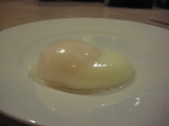 Poached Egg